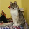 Отзыв от Оксана Кукушкина